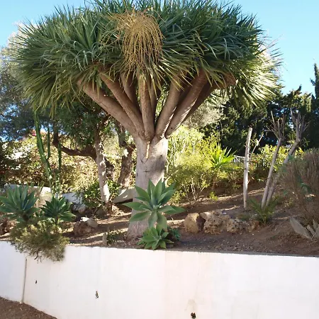 בית נופש Acogedora Y Amplia Con Piscina